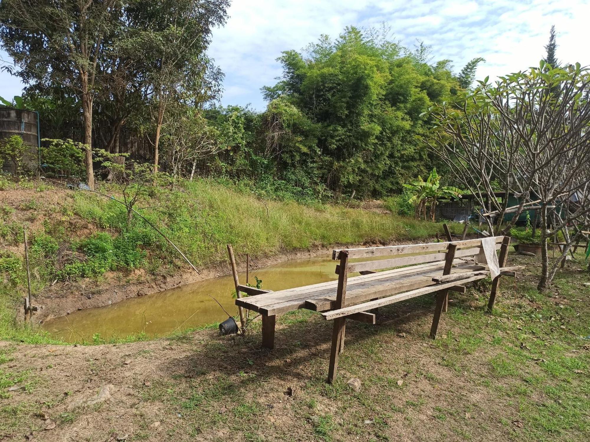Pai Forest Resort Luaran gambar